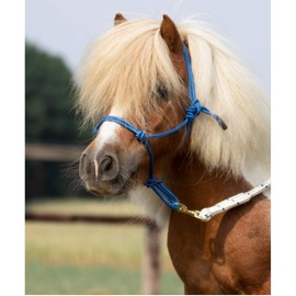 Smooth II Knot Halter