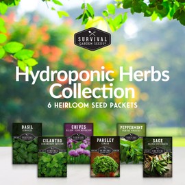 Hydroponics Herb Seed Collection for Planting - Curled Parsley, Sage, Chives, Peppermint, Cilantro & Genovese Basil Herbs for Any Indoor Gardening System- Non-GMO Heirloom Survival Garden Seeds