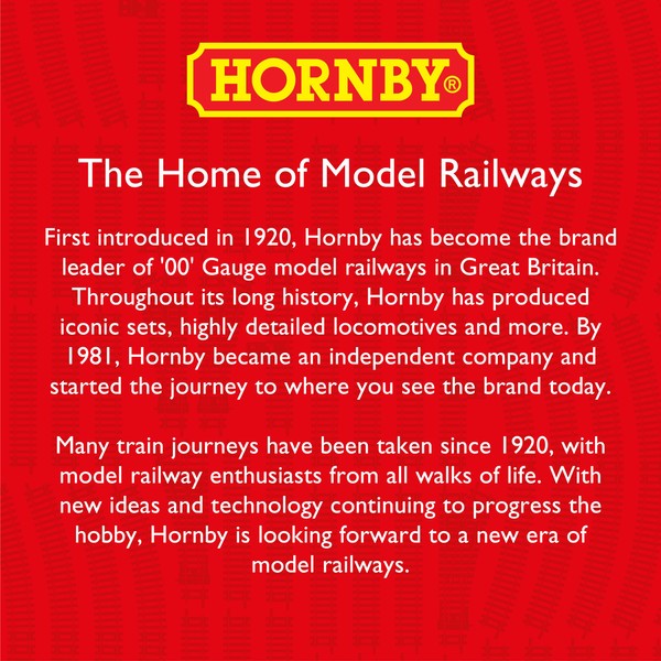 Hornby R8076 OO Gauge Y Point Track - Extra Track Pieces for Model Railway Sets, Model Train Track Pieces - Scale 1:76