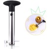 Rngeo 2 Pack Stainless Steel Pineapple Corer Cutter Slicer Peeler