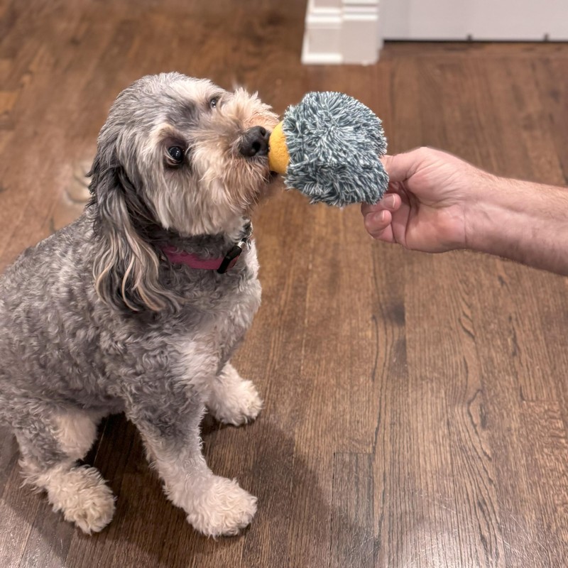 SPOT Butterballs Forest Animals Dog Toy-Soft, Stuffed, Squeaky, Plush Fabric