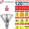 Explux Full Glass PAR38 Outdoor Flood Blue Light Bulbs, 120W