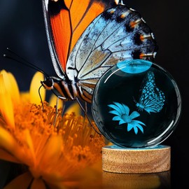 Huntalg 3D Butterfly Crystal Ball Night Light Upgraded 3.15 in Butterfly and Flower Figurines Glass Ball Lamps with 16 Color for Birthday Unique Butterfly Home Room Decor Gifts for Women Her Kids