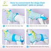 LovinPet Recovery Suit for Dogs: Dog Spay Recovery Suit Female