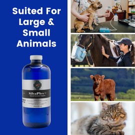 SilvaPlex Natural Immune Support Solution for Dogs, Cats, Horses, Small Animals, 100 PPM Chelated Silver (8 oz)