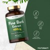 Pine Bark Extract 400mg | 180 Capsules | No Artificial