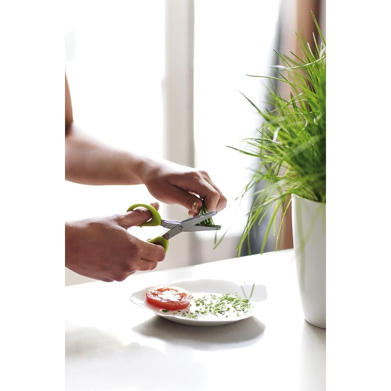 Elho Brussels Herb Station 30 - Flower Pot for Growing