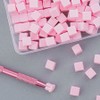 Nail Store Nail Gradient Sponge 100 Piece Clamp Set, 1 Set, 2. Pink + Clamp Set W723 / 네일스토어 네일 그라데이션 스펀지 100개입 집게 세트, 1세트, 2.핑크+집개세트 W723