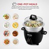 Aroma Housewares Select Stainless Rice Cooker & Warmer with Uncoated