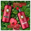 Herbal Essences Shampoo con Aceite de Ricino y Granada, Sin