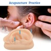 SimCoach Modelo de oreja de acupuntura, réplica de oreja artificial