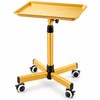 Adjustable Height Salon Trolley for Mobile Work – Large Aluminum