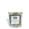 Tuscany Candle Tea Tree & Sandalwood Long-Lasting Scented Jar Candle,