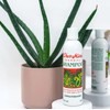 CHER-MERE Herbal Shampoo with Rachette and Aloe