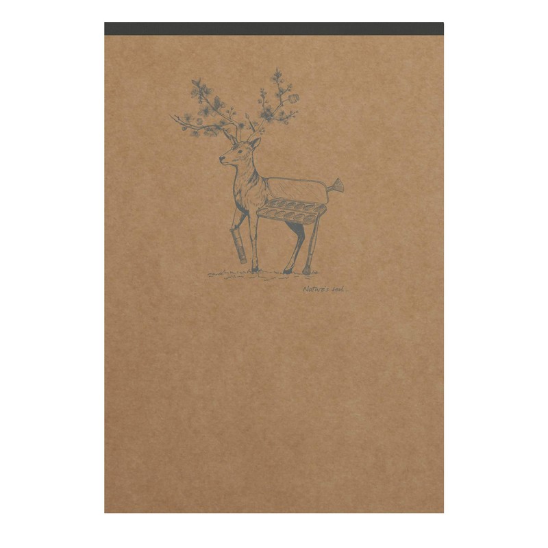 Clairefontaine Flying Spirit 103646C Pack of 5 Pads, Glued at