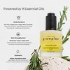 Growplex Rosemary Elixir – Daily Scalp Oil with 9 Essential