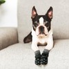 PUMYPOREITY 2 Pairs Socks for Dogs to Stop Licking, Dog