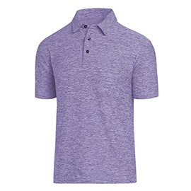 Men's Dry Fit Golf Polo Shirt (as1, Alpha, l, Regular, Regular, 3-Purple)