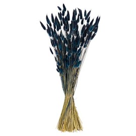 Vickerman 24" Dried Dark Blue Bunny Tail Lagurus Bunch, 3.5 oz.