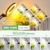 12X & 30X Magnifying Glass with Light, Ultra Long 3