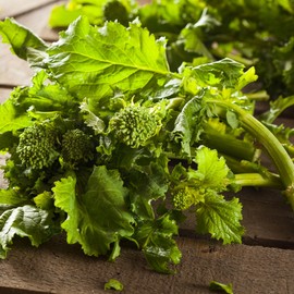 Broccoli Raab 4 Oz ~3,900 Seeds—Early Fall Rapini—Brassica rapa ruvo—Heirloom, Non-GMO Days to Harvest—Cool-Season Crop for Spring/Fall—Open Pollinated—Garden or Container