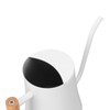 Stainless Steel Watering Can Pot Retro Small Plant Watering Can