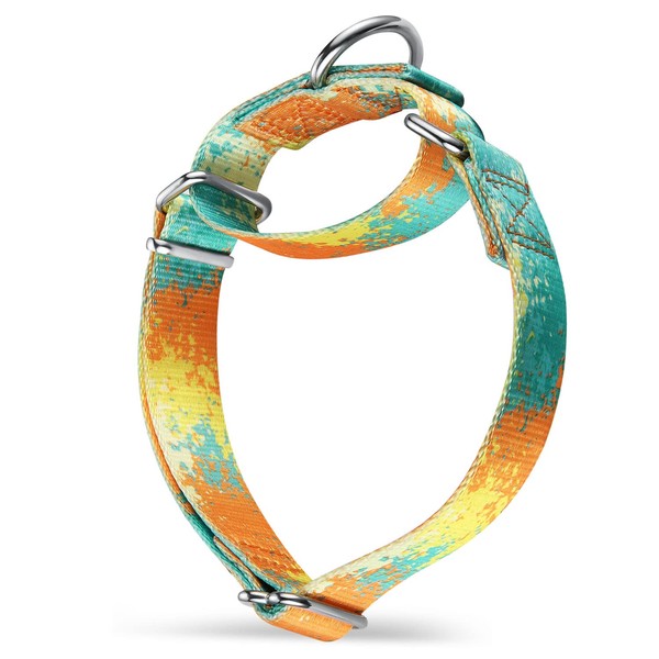 Dazzber Martingale Dog Collars Colourful Oil Painting Pattern Series -