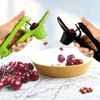 Cherry and Olive Pitter Tool, 2 Pcs Fruit Stone Remover,