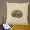 Azeeda 40cm x 40cm 'Curled Up Sleeping British Shorthair Cat'