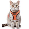 Cat Harness Escape Proof with Leash for Walking, Travel Vest