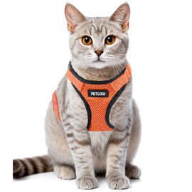 Cat Harness Escape Proof with Leash for Walking, Travel Vest Soft Chest Support, Adjustable Size, Escape Proof Soft Adjustable Vest Harnesses, Breathable, Kittens, Small Dogs (美/背縄/橙2/XS)