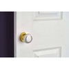 Designer Levers - Ceramic Round Door Knob - Polished Brass