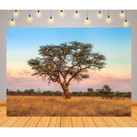 BELECO 5x3ft Fabric Africa Safari Backdrop African Tree of The African Savannah in The Serengeti Wildlife Area of Tanzania, East Africa Background Safari Party Decorations Photoshoot Studio Props