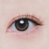 Colored Contact Lenses Hapa Kristin Hapa Kristin 1day 【Gray】One&Only Kristin