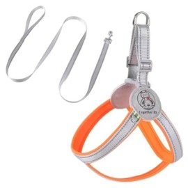 AILEVERS Easy Walk Dog Harness - No Pull Dog Harness，Dog Harness Collar and Leash Set Step in Pet Harness for Small Medium Dogs and Cats Outdoor Walking Running， Dog Vest Harnesses (Orange, S)