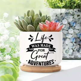 DecStic Life was Made for Great Adventures Ceramic Planters Bible Verse Flower Pots for Indoor Plants with Drainage Holes and Saucers Pot for Succulents Cactus Garden Windowsill
