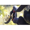 Meister Secateurs with Bypass Blade - Titanium Alloy & Non-Stick