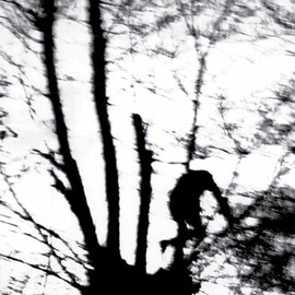 CAMOUFLAGE HEART [VINYL]