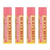 Burt's Bees Bálsamo labial hidratante de pomelo rosa, 0.15 onzas