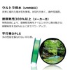 Daiwa Silver Creek Type N (Nylon) Lime Green 3lb-100m