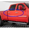 W Power WP Triple Chrome Plated ABS Plastic Side Door