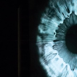 Chaotic Affair [VINYL]