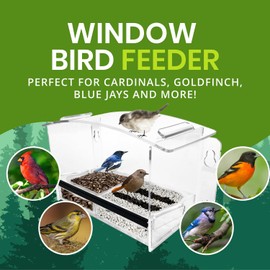 Nature Gear Acrylic Clear Window Bird Feeder with Strong Suction Cups, Removable Sliding Seed Tray, Weather-Resistant & Easy to Clean for Window Viewing, Earth-Friendly Dome
