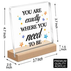 Inspirational Office Desk Decor,You Are Exactly Where You Need to Be Acrylic Plaque for Office Desk Tabletop Decor,Motivational Gift for Women Men Coworker Friend A380