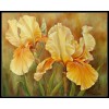 Ankicoleman Designs Yellow Iris - DIY Chart Counted Cross Stitch