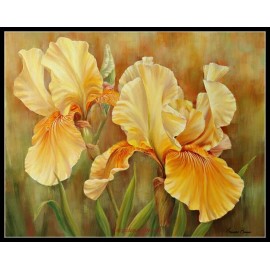 Ankicoleman Designs Yellow Iris - DIY Chart Counted Cross Stitch Patterns Needlework Embroidery DMC  - Printed