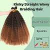 XIIMENALU Kinky Straight Wavy Braiding Hair for Boho Braids Wet