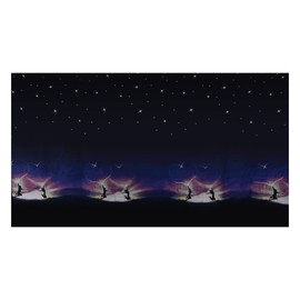 NICEYEA Dorm Home Bunk Bed Curtains Dustproof Single Sleeper Blackout Cloth Shading Bed Canopy Mosquito Protection Net Bedding Curtains(one piece)