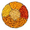 Paquete De 12 Sabores De Polvo Sazonador 100g