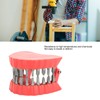 Denture Drill Bit Holder Denture Screwdriver Organizer 3D Sculpture Desk